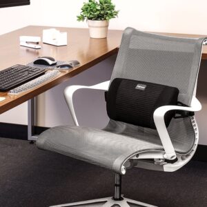 Scelerisque mauris pellentesque pulvinar